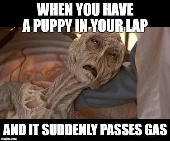 Alien Dying | WHEN YOU HAVE A PUPPY IN YOUR LAP AND IT SUDDENLY PASSES GAS | image tagged in alien dying | made w/ Imgflip meme maker