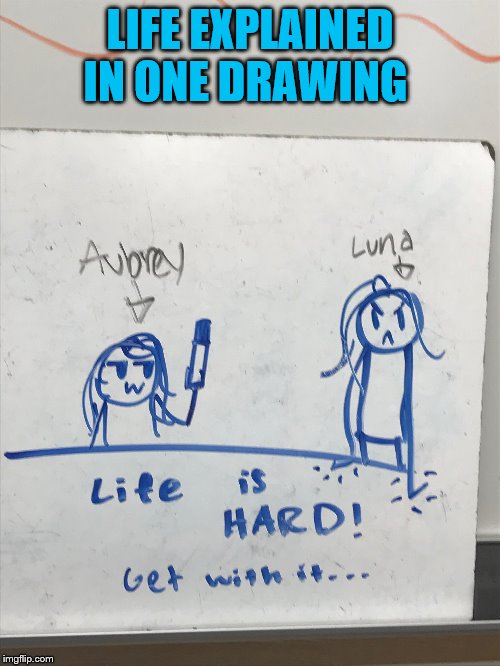 Life in One Picture | LIFE EXPLAINED IN ONE DRAWING | image tagged in life,drawings | made w/ Imgflip meme maker