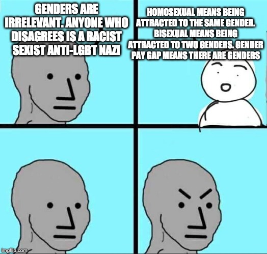 NPC Meme | HOMOSEXUAL MEANS BEING ATTRACTED TO THE SAME GENDER. BISEXUAL MEANS BEING ATTRACTED TO TWO GENDERS. GENDER PAY GAP MEANS THERE ARE GENDERS; GENDERS ARE IRRELEVANT. ANYONE WHO DISAGREES IS A RACIST SEXIST ANTI-LGBT NAZI | image tagged in npc meme | made w/ Imgflip meme maker