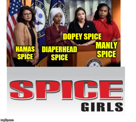 DIAPERHEAD SPICE; DOPEY SPICE; MANLY SPICE; HAMAS SPICE | image tagged in the squad | made w/ Imgflip meme maker