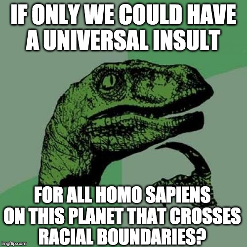 Philosoraptor Meme | IF ONLY WE COULD HAVE
A UNIVERSAL INSULT FOR ALL HOMO SAPIENS
ON THIS PLANET THAT CROSSES
RACIAL BOUNDARIES? | image tagged in memes,philosoraptor | made w/ Imgflip meme maker