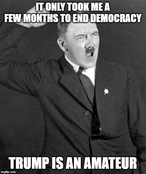 Angry Hitler | IT ONLY TOOK ME A FEW MONTHS TO END DEMOCRACY TRUMP IS AN AMATEUR | image tagged in angry hitler | made w/ Imgflip meme maker