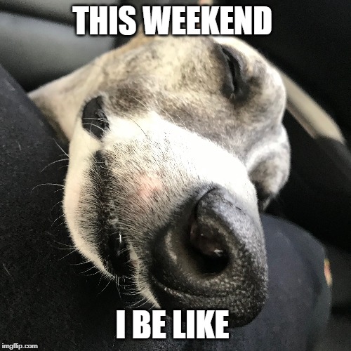 THIS WEEKEND; I BE LIKE | image tagged in dog,sleeping,lazy dog,weekend | made w/ Imgflip meme maker