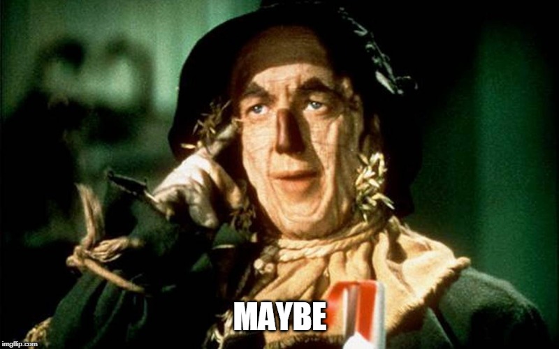 Oz Scarecrow | MAYBE | image tagged in oz scarecrow | made w/ Imgflip meme maker