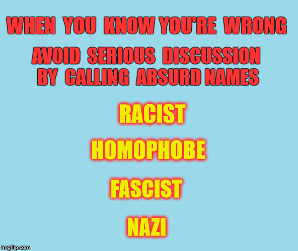 People in indefensible positions often use name calling to avoid exposure by serious discussion | WHEN  YOU  KNOW YOU'RE  WRONG; AVOID  SERIOUS  DISCUSSION  BY  CALLING  ABSURD NAMES; RACIST; HOMOPHOBE; FASCIST; NAZI | image tagged in racist,political correctness,homophobe,nazi,fascist | made w/ Imgflip meme maker