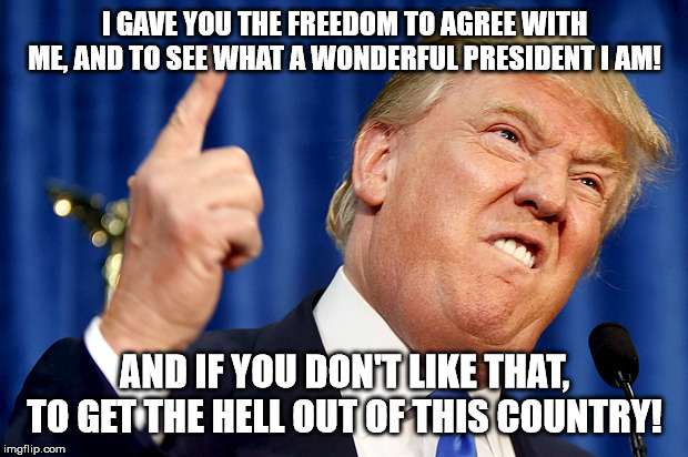 Donald Trump | I GAVE YOU THE FREEDOM TO AGREE WITH ME, AND TO SEE WHAT A WONDERFUL PRESIDENT I AM! AND IF YOU DON'T LIKE THAT, TO GET THE HELL OUT OF THIS | image tagged in donald trump | made w/ Imgflip meme maker