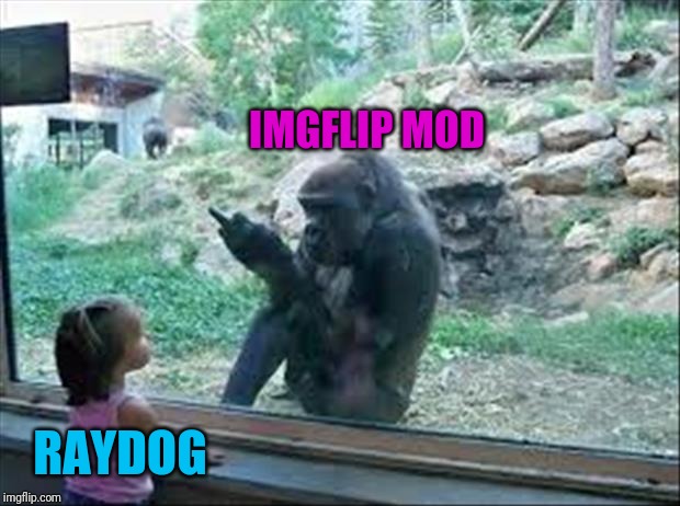 Bad Monkey | IMGFLIP MOD RAYDOG | image tagged in bad monkey | made w/ Imgflip meme maker