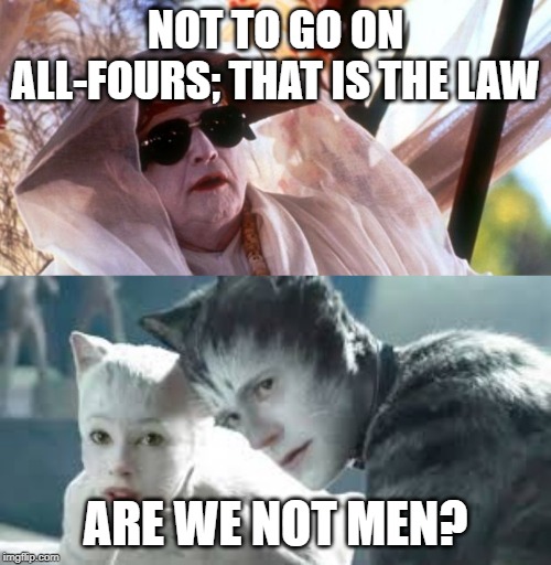 Island of Dr Moreau | NOT TO GO ON ALL-FOURS; THAT IS THE LAW; ARE WE NOT MEN? | image tagged in cats,moreau,wells | made w/ Imgflip meme maker