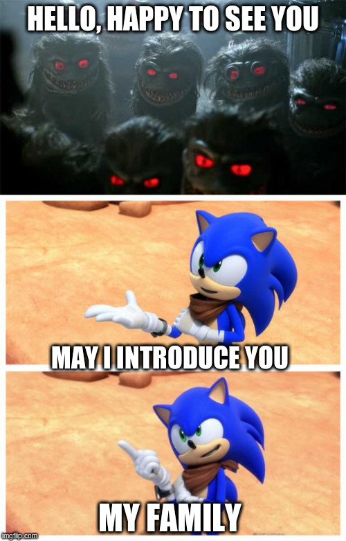 HELLO, HAPPY TO SEE YOU; MAY I INTRODUCE YOU; MY FAMILY | image tagged in sonic boom,super sonic critters | made w/ Imgflip meme maker