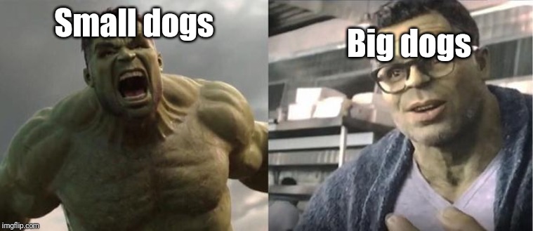 Angry Hulk VS Civil Hulk | Big dogs; Small dogs | image tagged in angry hulk vs civil hulk,memes,dogs,happ | made w/ Imgflip meme maker
