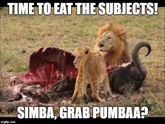 Simba | TIME TO EAT THE SUBJECTS! SIMBA, GRAB PUMBAA? | image tagged in simba | made w/ Imgflip meme maker