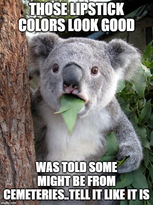 Surprised Koala Meme | THOSE LIPSTICK COLORS LOOK GOOD; WAS TOLD SOME MIGHT BE FROM CEMETERIES..TELL IT LIKE IT IS | image tagged in memes,surprised koala | made w/ Imgflip meme maker