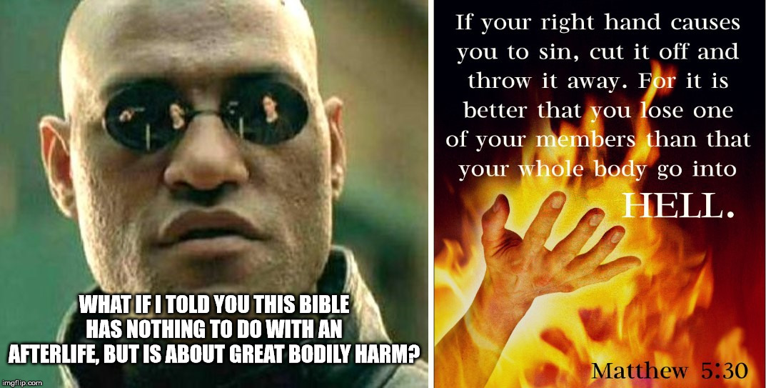 image-tagged-in-morpheus-the-human-body-hell-great-bodily-harm-imgflip