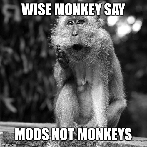 Wise Monkey | WISE MONKEY SAY MODS NOT MONKEYS | image tagged in wise monkey | made w/ Imgflip meme maker