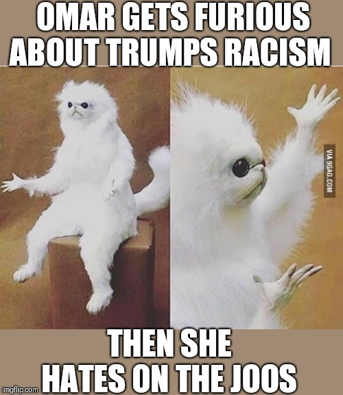 Confused white monkey | OMAR GETS FURIOUS ABOUT TRUMPS RACISM; THEN SHE HATES ON THE JOOS | image tagged in confused white monkey | made w/ Imgflip meme maker