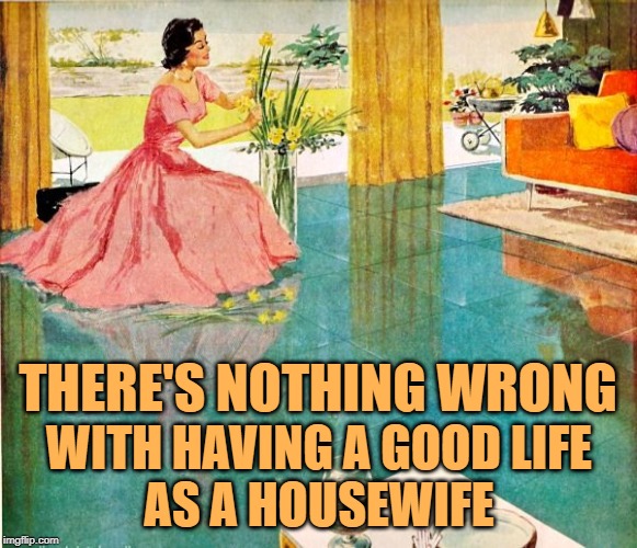 Housewife Life | THERE'S NOTHING WRONG; WITH HAVING A GOOD LIFE
AS A HOUSEWIFE | image tagged in 50s housewife,married,vintage,so true memes,role model,strong woman | made w/ Imgflip meme maker