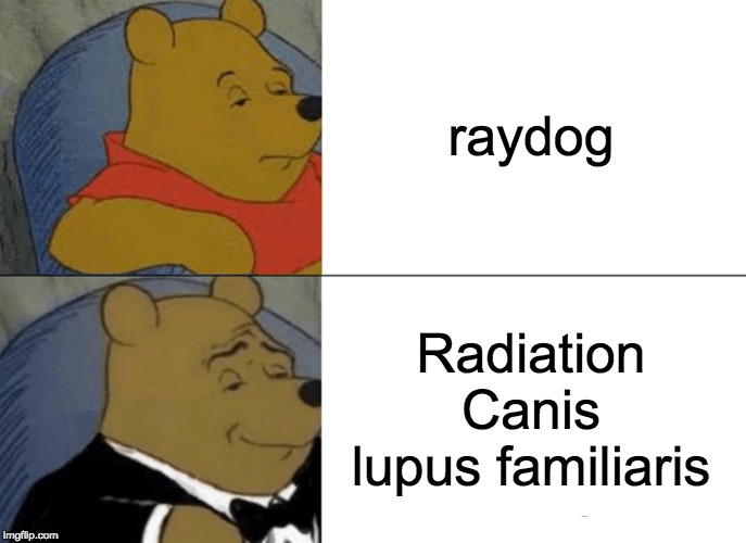 that's the scientific name for "dog" | raydog; Radiation Canis lupus familiaris | image tagged in memes,tuxedo winnie the pooh,radiation,raydog,funny memes,dog | made w/ Imgflip meme maker