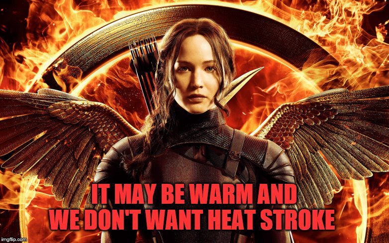 hunger games  | IT MAY BE WARM AND WE DON'T WANT HEAT STROKE | image tagged in hunger games | made w/ Imgflip meme maker