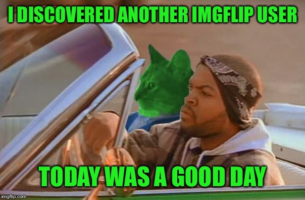 Driving RayCat | I DISCOVERED ANOTHER IMGFLIP USER TODAY WAS A GOOD DAY | image tagged in driving raycat | made w/ Imgflip meme maker