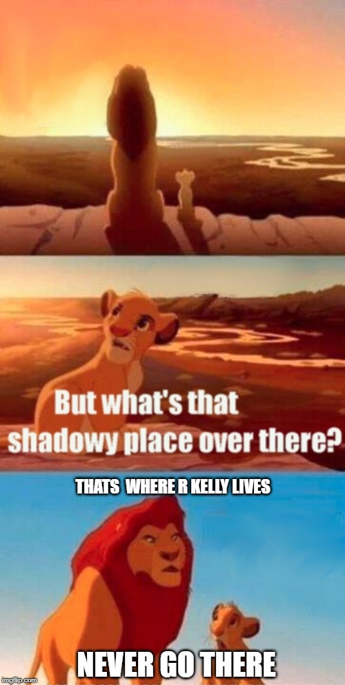 Simba Shadowy Place | THATS  WHERE R KELLY LIVES; NEVER GO THERE | image tagged in memes,simba shadowy place | made w/ Imgflip meme maker