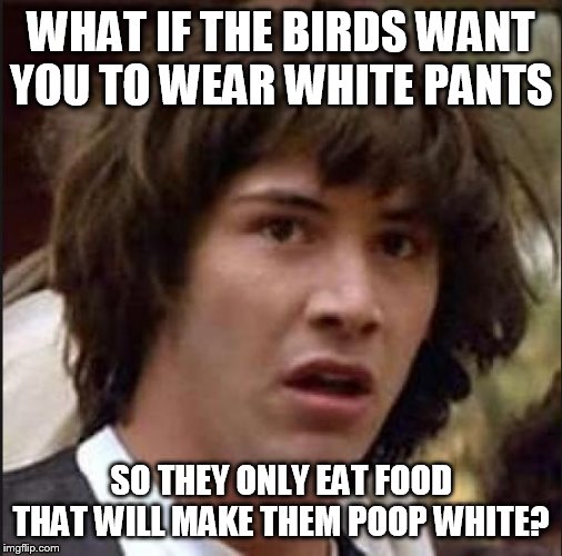 Keanu Reeves | WHAT IF THE BIRDS WANT YOU TO WEAR WHITE PANTS; SO THEY ONLY EAT FOOD THAT WILL MAKE THEM POOP WHITE? | image tagged in keanu reeves | made w/ Imgflip meme maker