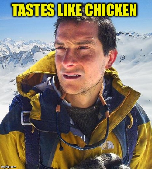 Bear Grylls Meme | TASTES LIKE CHICKEN | image tagged in memes,bear grylls | made w/ Imgflip meme maker
