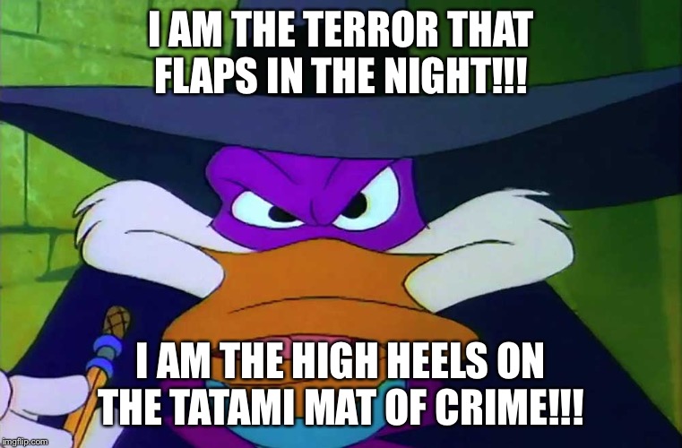 Darkwing Duck | I AM THE TERROR THAT FLAPS IN THE NIGHT!!! I AM THE HIGH HEELS ON THE TATAMI MAT OF CRIME!!! | image tagged in darkwing duck | made w/ Imgflip meme maker