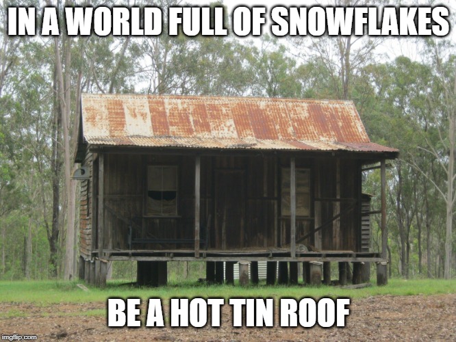 Hot Tin Roof | IN A WORLD FULL OF SNOWFLAKES; BE A HOT TIN ROOF | image tagged in hot tin roof,snowflakes,tin roof rusted | made w/ Imgflip meme maker
