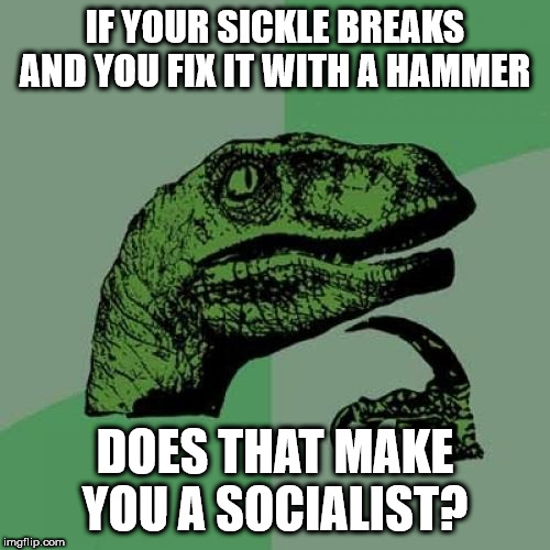 Accidental Communism | IF YOUR SICKLE BREAKS AND YOU FIX IT WITH A HAMMER; DOES THAT MAKE YOU A SOCIALIST? | image tagged in memes,philosoraptor,communism,accident | made w/ Imgflip meme maker