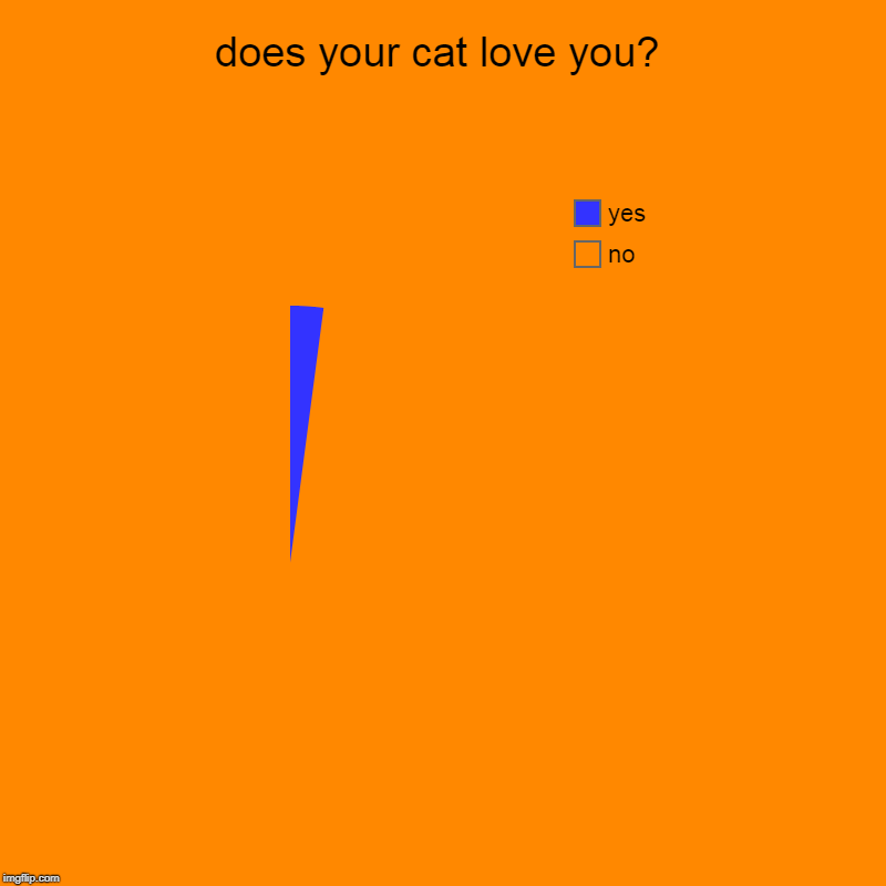 does your cat love you? | no, yes | image tagged in charts,pie charts | made w/ Imgflip chart maker