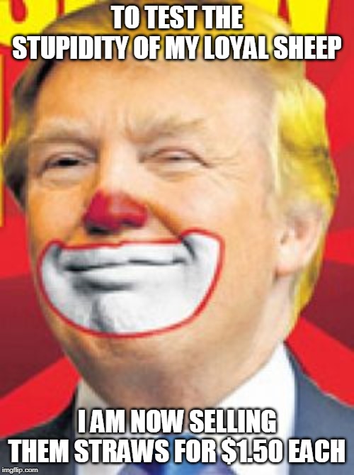 Donald Trump the Clown | TO TEST THE STUPIDITY OF MY LOYAL SHEEP; I AM NOW SELLING THEM STRAWS FOR $1.50 EACH | image tagged in donald trump the clown | made w/ Imgflip meme maker
