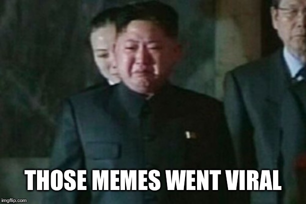 Kim Jong Un Sad Meme | THOSE MEMES WENT VIRAL | image tagged in memes,kim jong un sad | made w/ Imgflip meme maker