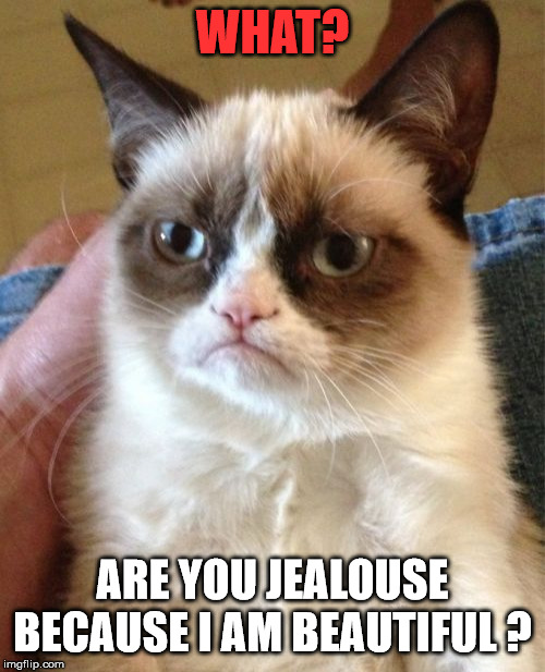 Grumpy Cat Meme | WHAT? ARE YOU JEALOUSE BECAUSE I AM BEAUTIFUL ? | image tagged in memes,grumpy cat | made w/ Imgflip meme maker