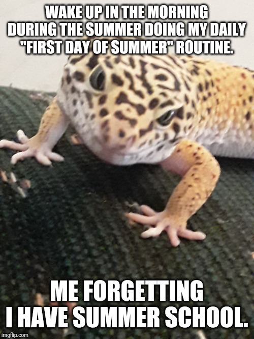 WAKE UP IN THE MORNING DURING THE SUMMER DOING MY DAILY "FIRST DAY OF SUMMER" ROUTINE. ME FORGETTING I HAVE SUMMER SCHOOL. | image tagged in memes | made w/ Imgflip meme maker