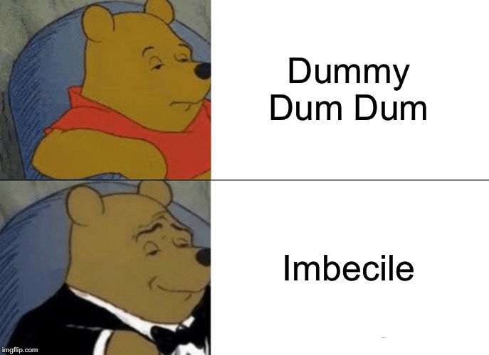 Tuxedo Winnie The Pooh | Dummy Dum Dum; Imbecile | image tagged in memes,tuxedo winnie the pooh | made w/ Imgflip meme maker
