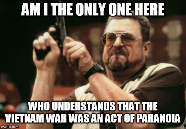 Am I The Only One Around Here Meme | AM I THE ONLY ONE HERE; WHO UNDERSTANDS THAT THE VIETNAM WAR WAS AN ACT OF PARANOIA | image tagged in memes,am i the only one around here,vietnam,vietnam war,the vietnam war,paranoia | made w/ Imgflip meme maker