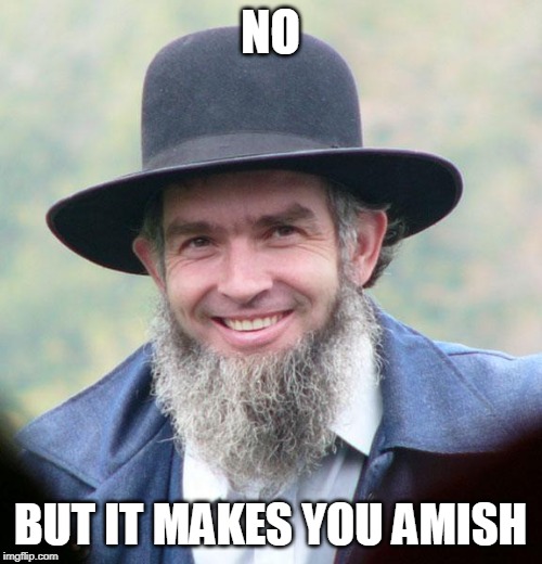 Amish | NO BUT IT MAKES YOU AMISH | image tagged in amish | made w/ Imgflip meme maker