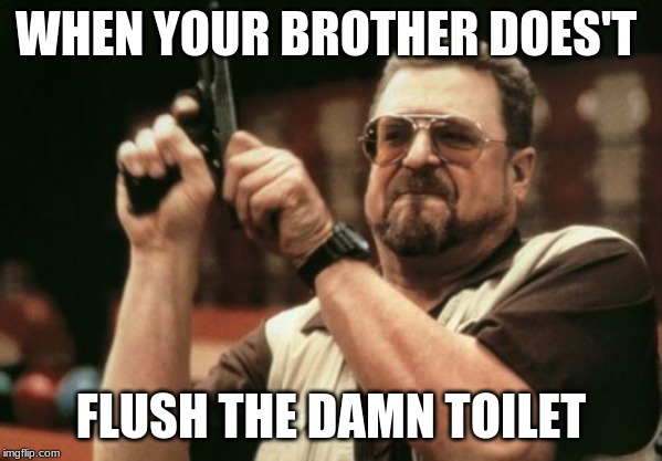 Am I The Only One Around Here Meme | WHEN YOUR BROTHER DOES'T; FLUSH THE DAMN TOILET | image tagged in memes,am i the only one around here | made w/ Imgflip meme maker
