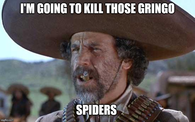 El Guapo | I'M GOING TO KILL THOSE GRINGO; SPIDERS | image tagged in el guapo | made w/ Imgflip meme maker
