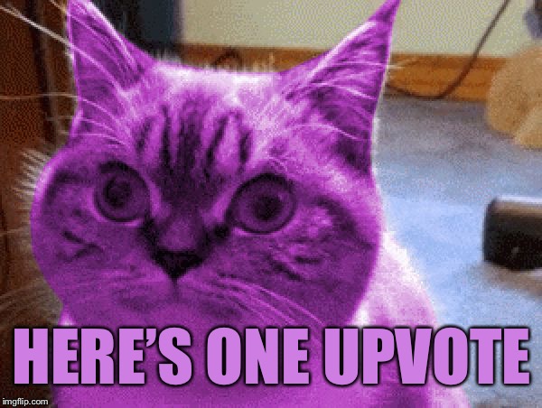 RayCat derp | HERE’S ONE UPVOTE | image tagged in raycat derp | made w/ Imgflip meme maker