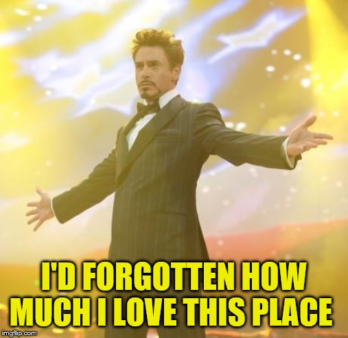 Robert Downey Jr Iron Man | I'D FORGOTTEN HOW MUCH I LOVE THIS PLACE | image tagged in robert downey jr iron man | made w/ Imgflip meme maker