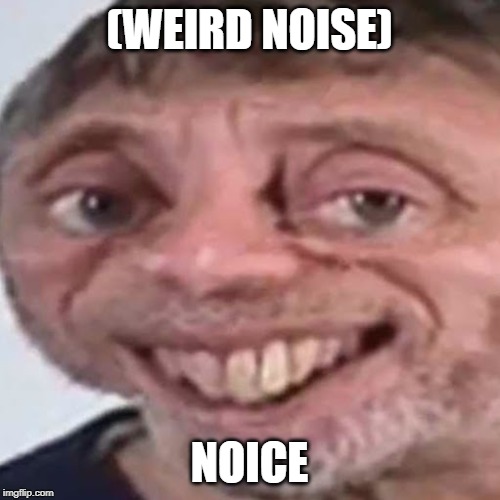 Noice | (WEIRD NOISE); NOICE | image tagged in noice | made w/ Imgflip meme maker