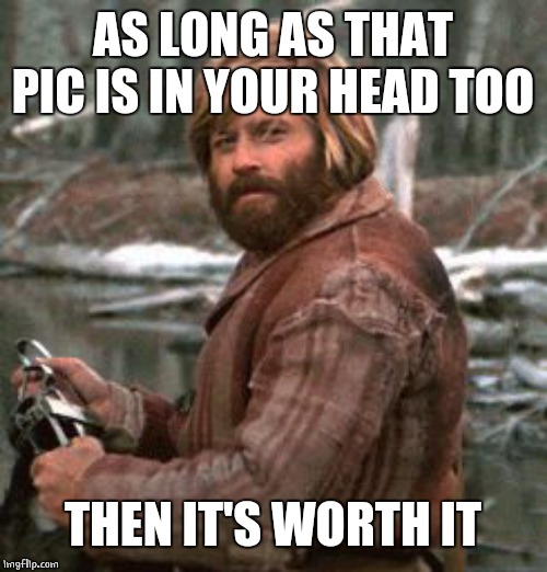 Redford nod of approval | AS LONG AS THAT PIC IS IN YOUR HEAD TOO THEN IT'S WORTH IT | image tagged in redford nod of approval | made w/ Imgflip meme maker