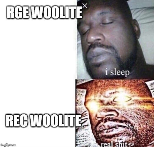 i sleep real shit | RGE WOOLITE; REC WOOLITE | image tagged in i sleep real shit | made w/ Imgflip meme maker