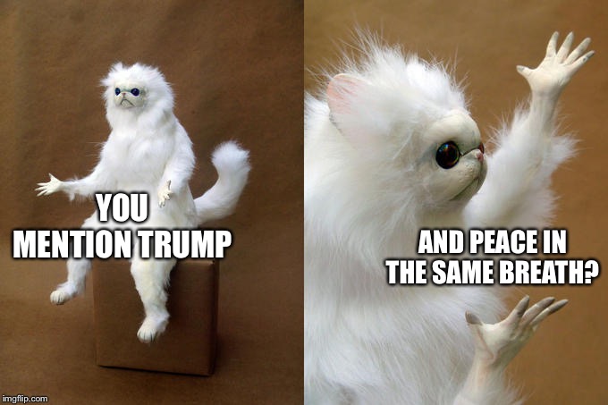 Persian Cat Room Guardian Meme | YOU MENTION TRUMP AND PEACE IN THE SAME BREATH? | image tagged in memes,persian cat room guardian | made w/ Imgflip meme maker