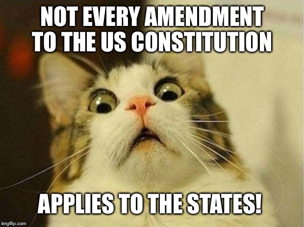 Scared Cat | NOT EVERY AMENDMENT TO THE US CONSTITUTION; APPLIES TO THE STATES! | image tagged in memes,scared cat | made w/ Imgflip meme maker