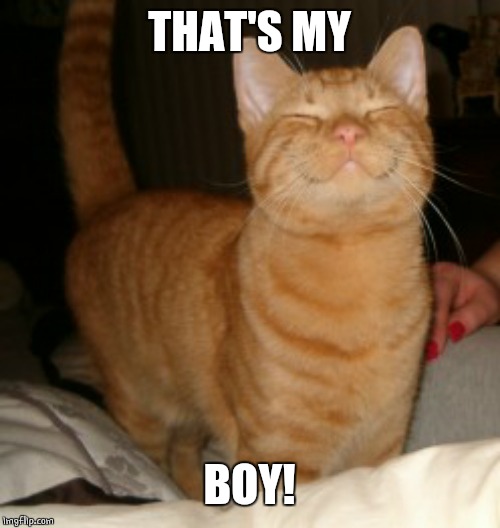 HAPPY MILO | THAT'S MY BOY! | image tagged in happy milo | made w/ Imgflip meme maker
