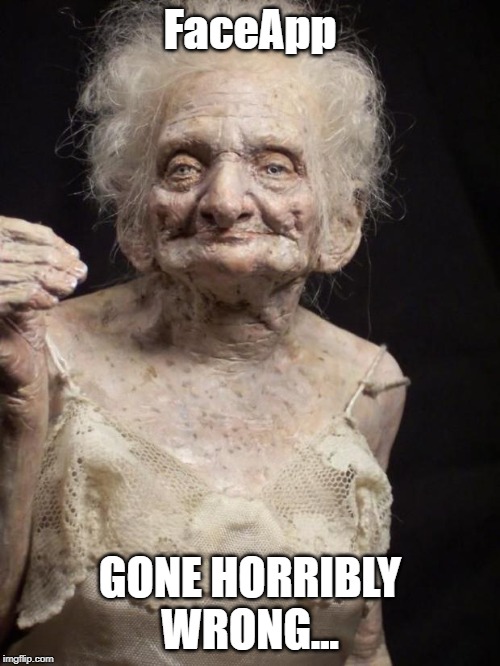 Gahhhh | FaceApp; GONE HORRIBLY WRONG... | image tagged in old lady | made w/ Imgflip meme maker