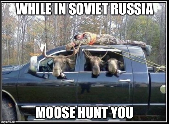 in soviet Russia mooses | WHILE IN SOVIET RUSSIA; MOOSE HUNT YOU | image tagged in in soviet russia mooses | made w/ Imgflip meme maker