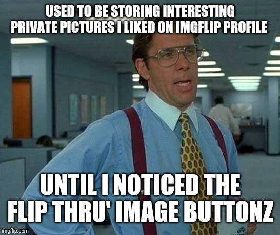 That Would Be Great Meme | USED TO BE STORING INTERESTING PRIVATE PICTURES I LIKED ON IMGFLIP PROFILE; UNTIL I NOTICED THE FLIP THRU' IMAGE BUTTONZ | image tagged in memes,that would be great | made w/ Imgflip meme maker